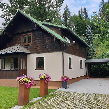 Freeride-Living Annaberg im Lammertal Exterior photo